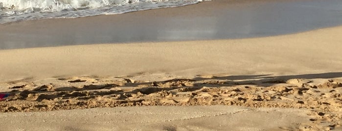Laniakea (Turtle) Beach is one of Jan : понравившиеся места.