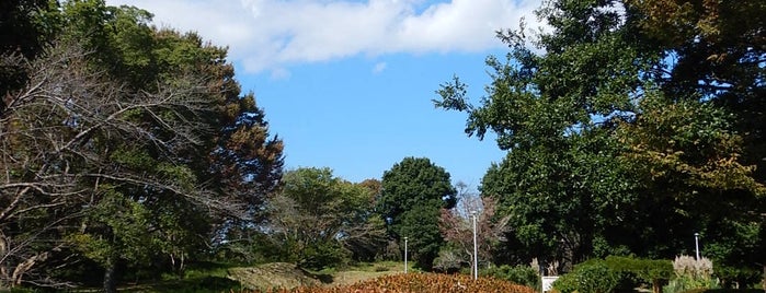 Inbanuma Park is one of 【関東】都県立都市公園一覧.