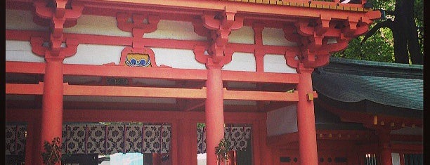 Hikawa-Jinja Shrine is one of 八百万の神々 / Gods live everywhere in Japan.