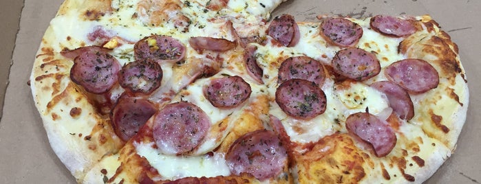 Domino's Pizza is one of Locais curtidos por Karina.