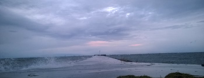 Amager Strandpark is one of CPH.