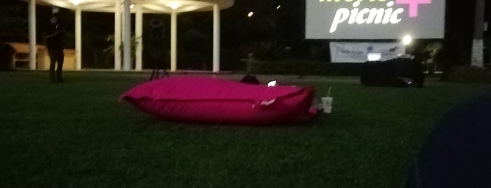 Movie + Picnic is one of En Vallarta.