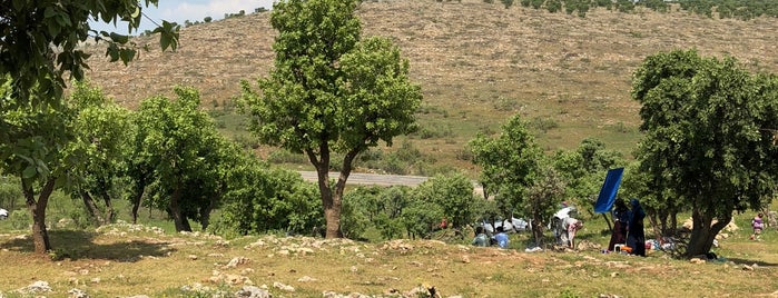 Şeyh Âhe Besa Piknik Alanı is one of Tempat yang Disukai Dr.Gökhan.