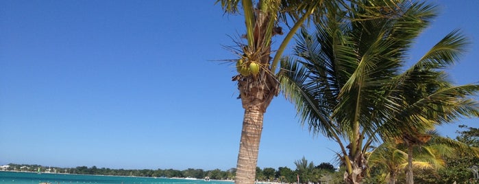 Jamaica Nude Beach is one of Erik'in Beğendiği Mekanlar.