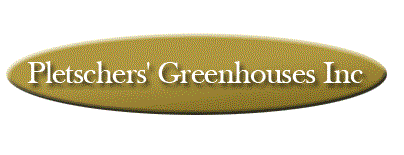 Pletschers' Greenhouse is one of NE Errands.