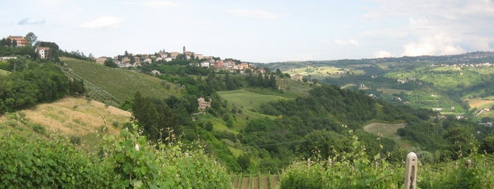 Tenute Priori e Galdelli is one of Cantine delle Marche.