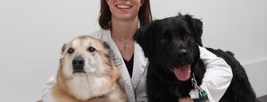 Machray Animal Hospital is one of Veterinary Clinics Across Western Canada.