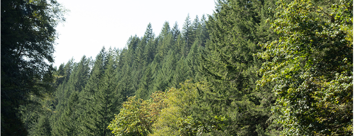 Tillamook Coast RV Park is one of Camping and Glamping.