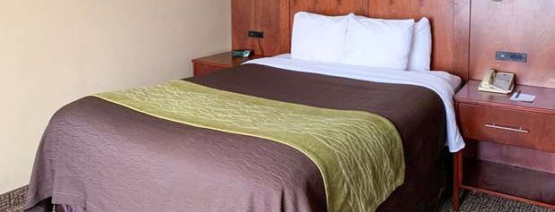 Comfort Inn & Suites is one of Posti che sono piaciuti a Felicity.