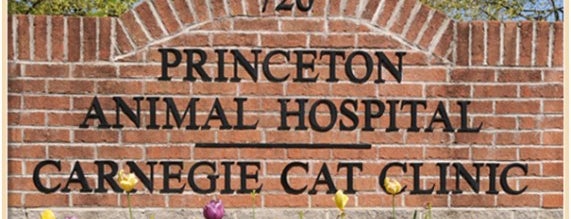 Princeton Animal Hospital is one of สถานที่ที่ Ian ถูกใจ.