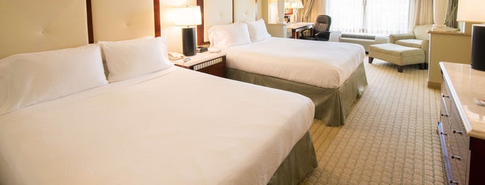 Radisson Hotel Orlando - Lake Buena Vista is one of Hoteles en Orlando.