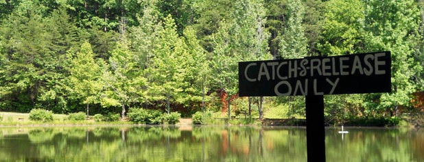 Jenny's Creek Family Campground is one of Tempat yang Disukai Chester.
