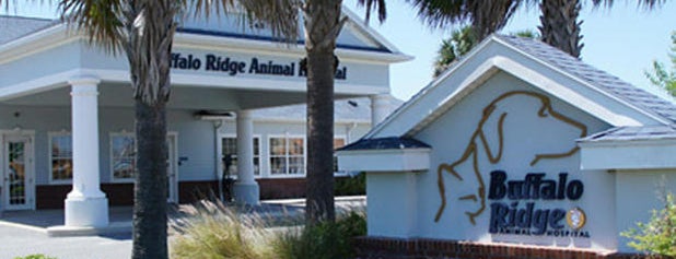 VCA Buffalo Ridge Animal Hospital is one of Posti che sono piaciuti a Alistair.