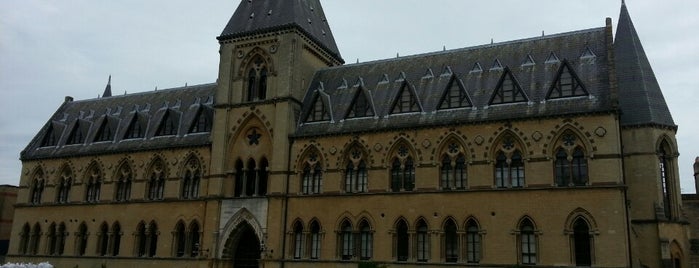 Oxford University Museum of Natural History is one of Exploring UK.