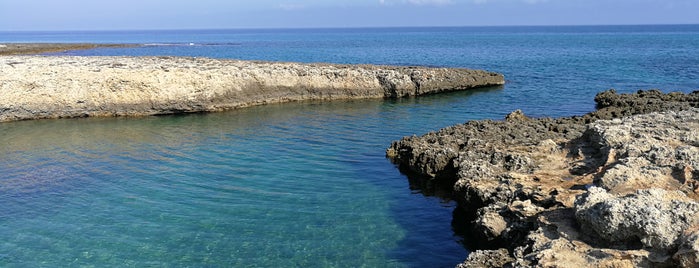 Torre pozzella spiaggia is one of Vito : понравившиеся места.