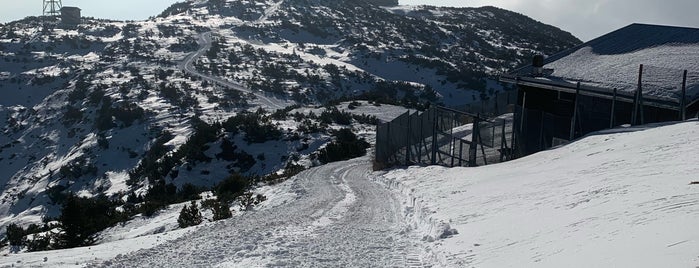 Paganella Ski Area is one of Andalo.