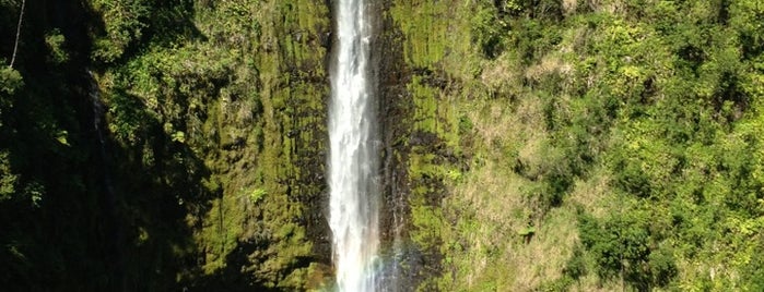 Akaka Falls State Park is one of Hawai'i Essentials.