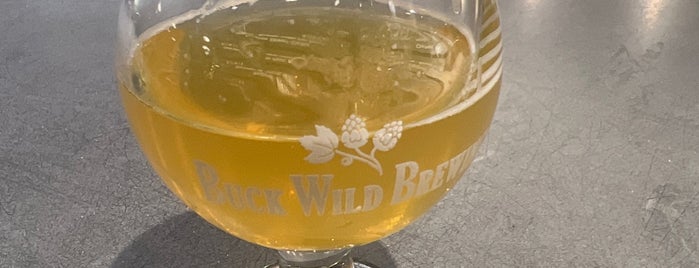 Buck Wild Brewing & Taproom is one of California Breweries 2.