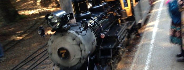 Tilden Steam Train is one of Lugares favoritos de David.