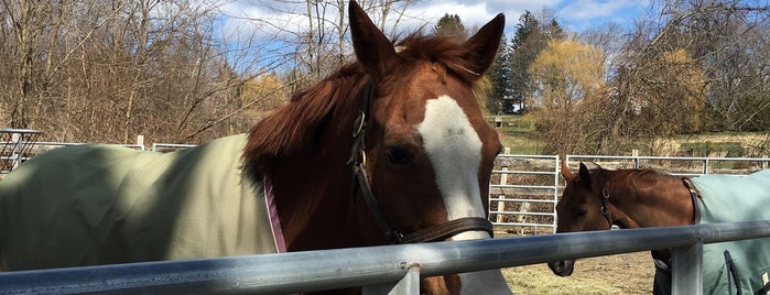 Whimsy Brook Farm is one of Visited-USA East.