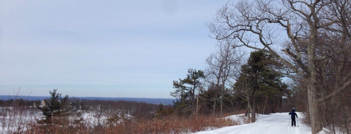 High Point Cross Country Ski Area is one of NYC Suburb.