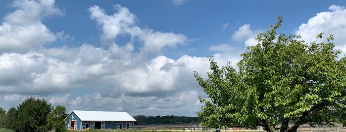 Cloverfield Equestrian Center is one of Equestrian.