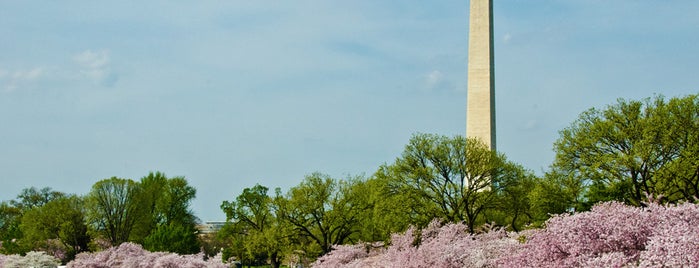 Washington, D.C. is one of Best Time of Year to Visit These 13 U.S. Cities.