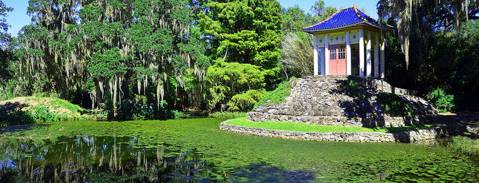 Avery Island is one of The Most Beautiful Spot in Every U.S. State.