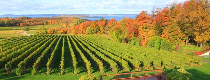 Good Harbor Vineyards & Winery is one of 7 Easy U.S. Trips For Wine Lovers.