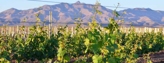 Alcantara Vineyards is one of 7 Easy U.S. Trips For Wine Lovers.