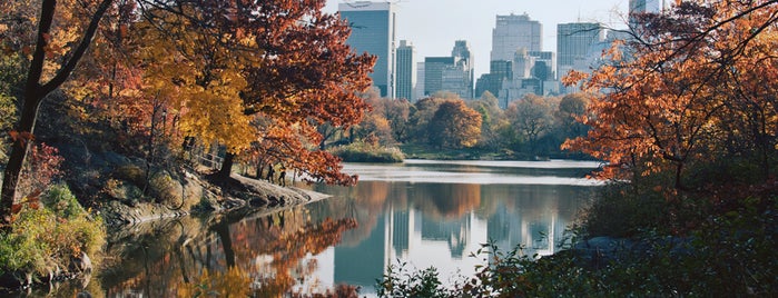 New York City is one of Best Time of Year to Visit These 13 U.S. Cities.