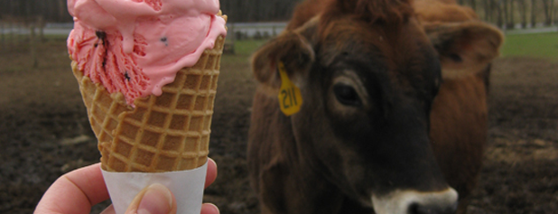 Woodside Farm Creamery is one of Ice-Cream Vacation.