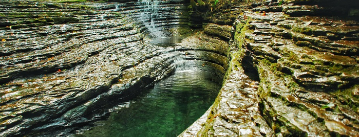 The Devil's Fork is one of The Most Beautiful Spot in Every U.S. State.