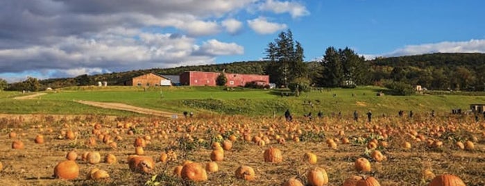 Fishkill Farms is one of The Best Apple-Picking Orchards in America.