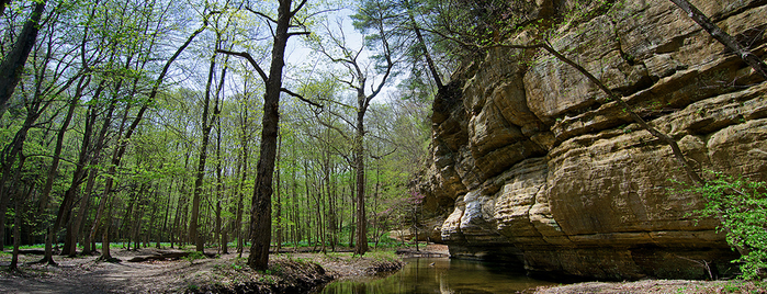 Starved Rock State Park is one of The Most Beautiful Spot in Every U.S. State.