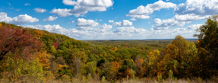 Brown County State Park is one of The Most Beautiful Spot in Every U.S. State.