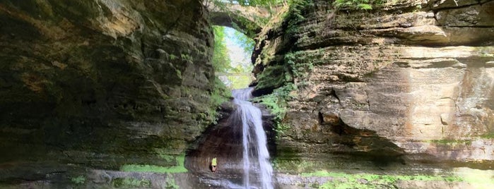 5 Places to Go Hiking in (or Around) Chicago