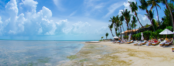 Little Palm Island Resort & Spa is one of Maru'nun Kaydettiği Mekanlar.