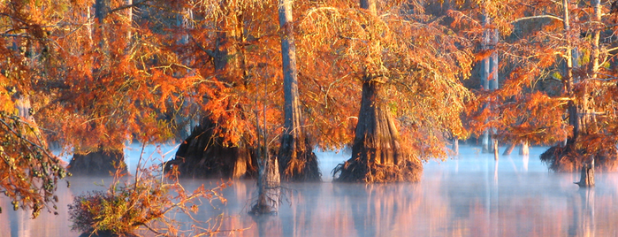 Noxubee National Wildlife Refuge is one of Posti salvati di Maru.