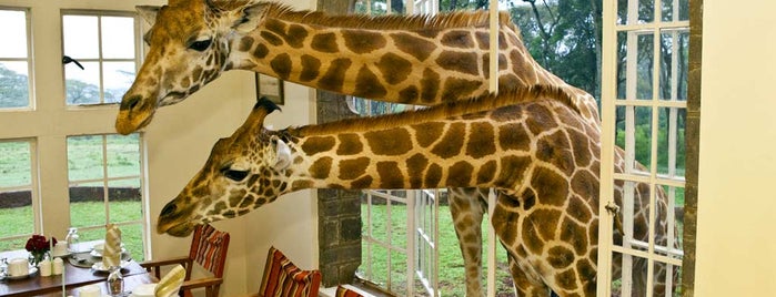 Giraffe Manor is one of Lugares - Mundo.
