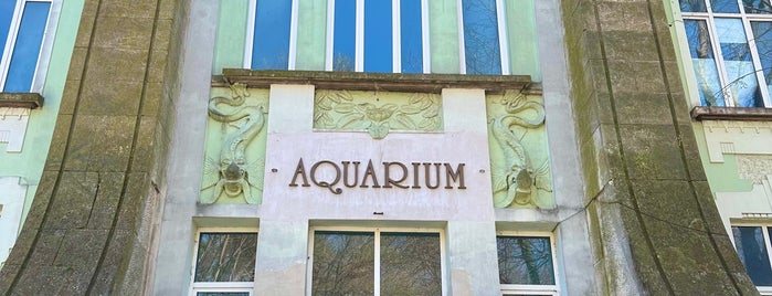 Аквариум (Aquarium) is one of Varna.