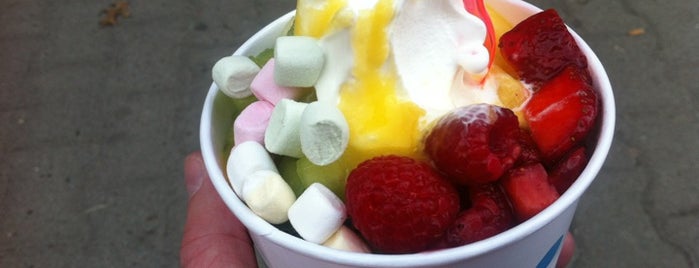 Yoli Frozen Yogurt is one of It's always time for ice cream!.