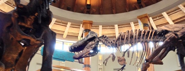 Jurassic Park Discovery Center is one of Lugares favoritos de Larissa.