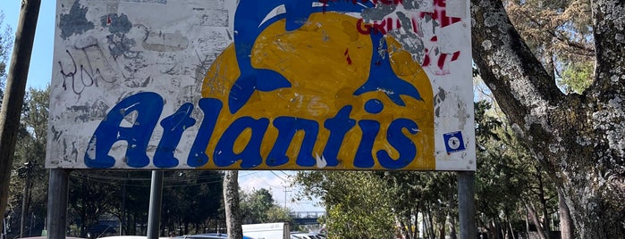Atlantis Delfinario is one of skate.