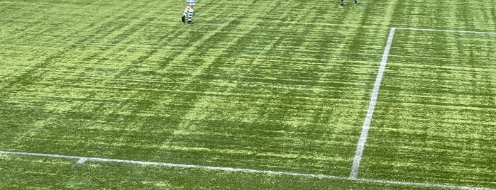 Broadwood Stadium is one of Football Stadiums I have visited on matchdays.