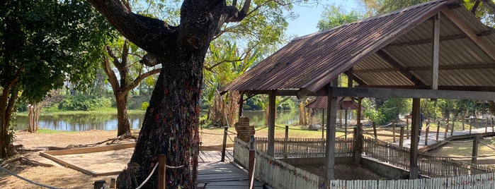 The Killing Tree is one of Cambodia.