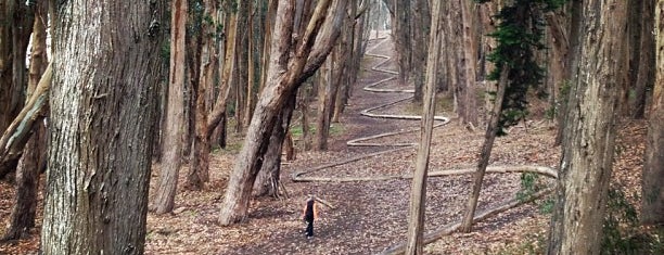 The Woods is one of Best Running and Hiking Trails.