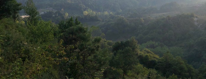 Küre Dağları Milli Parkı is one of Kastamonu.