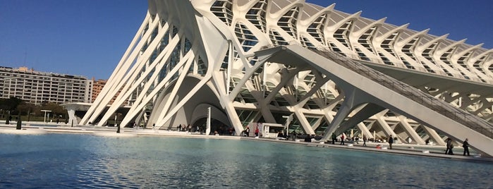 Ciutat de les Arts i les Ciències is one of Valencia 2016.