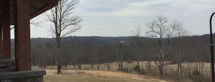 Mountain View Vineyard is one of The Travelerさんのお気に入りスポット.